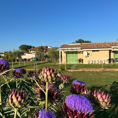 Вілла Il Giardino Di Nunzia Прінчипина-Терра Екстер'єр фото